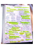 Ethics notes (2).pdf